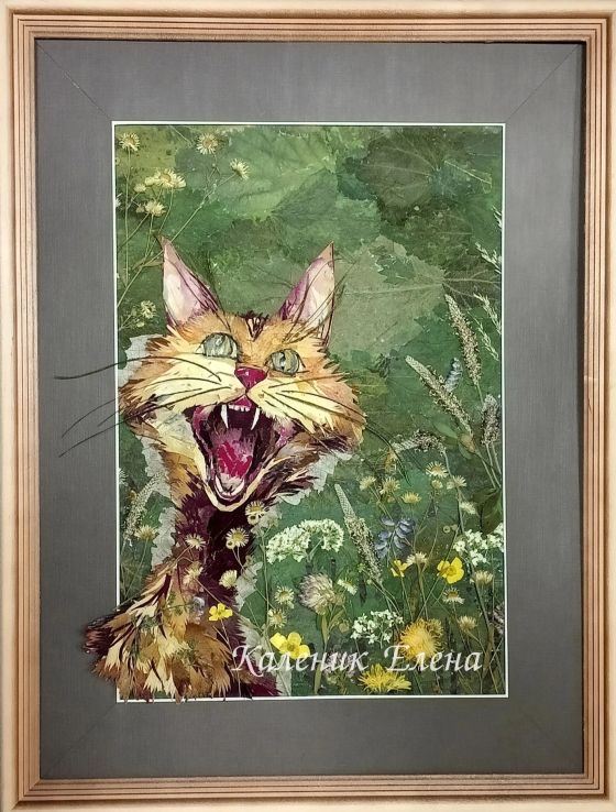 Каленик Елена, флористика, 2024 г.