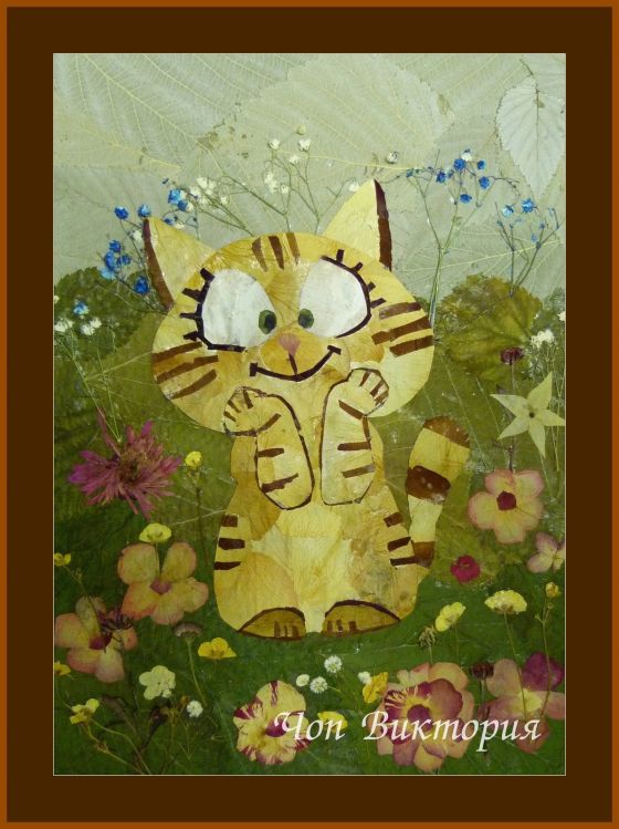 Чоп Виктория, флористика, 2024 г.