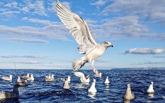 Приглашаем на открытие!