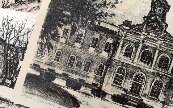 Выставка Анастасии Чесноковой