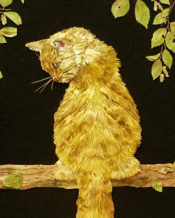 Международному Дню кошек посвящается