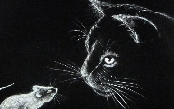 С днём кошек!