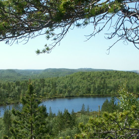 Загородный парк